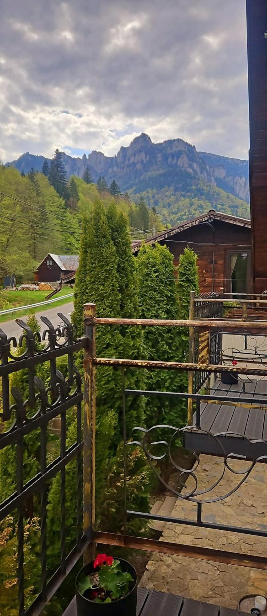 Pensiunea Bia Papadia Bicaz Exterior photo